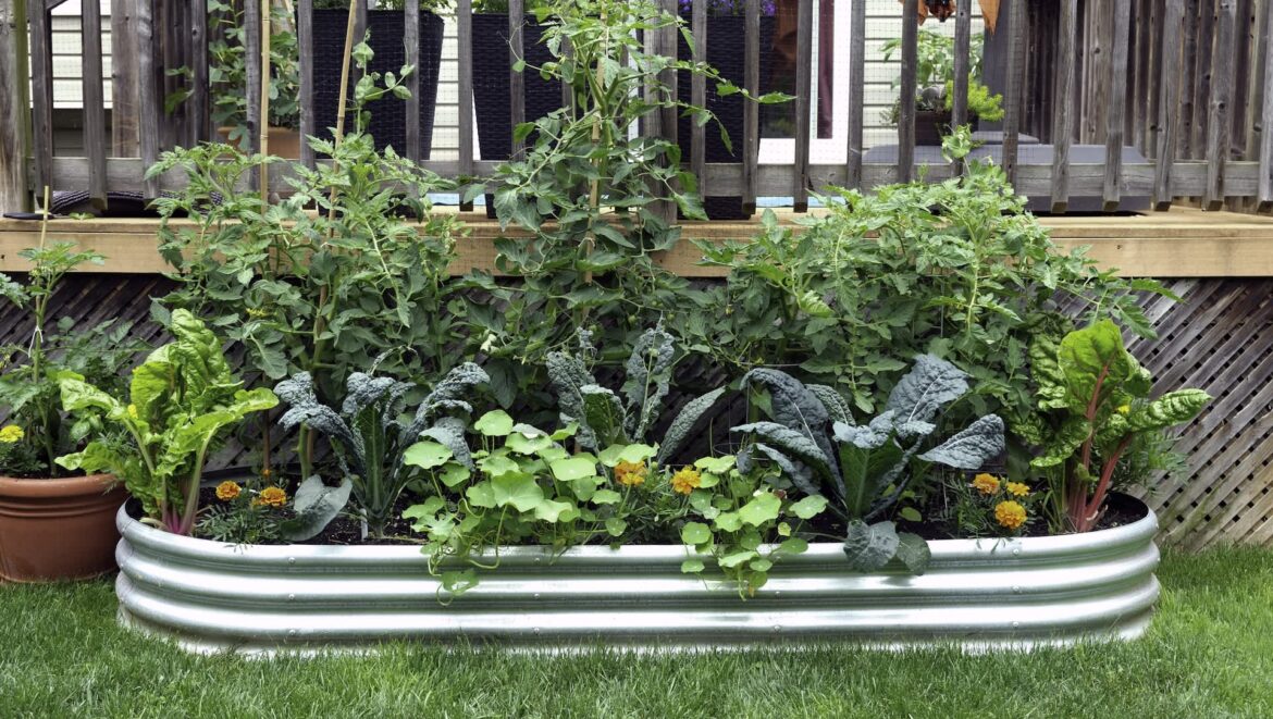 Gardener shares low-effort hack for thriving plants: ‘It’s so simple’ This viral TikTok shows how surprisingly easy and beneficial no-till gardening can be.