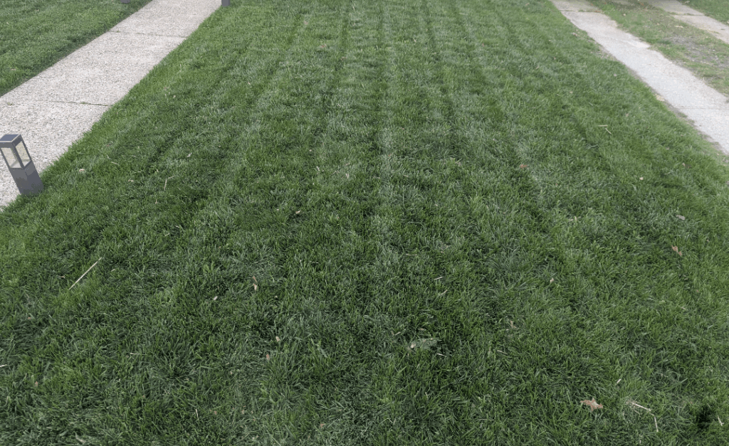 It's not much but I'm proud of the improvement