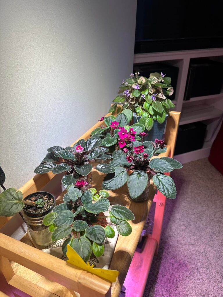 Finally got my lights right