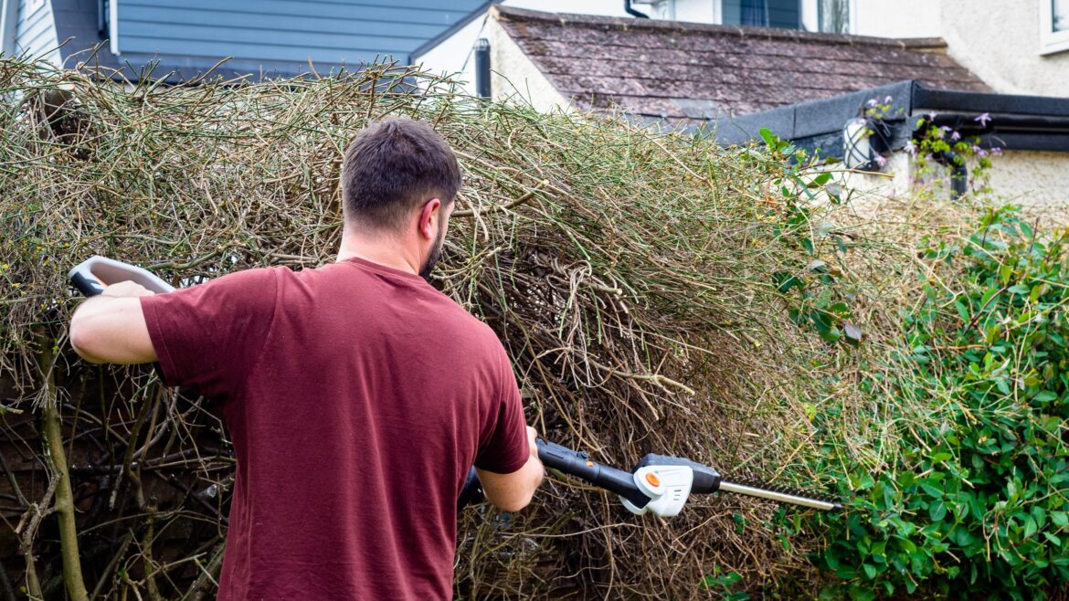 Is it ok to cut my neighbor’s overhanding branches? I asked the experts to find out if I’m within my rights Is it ok to cut my neighbor's overhanding branches? I asked the experts to find out if I'm within my rights