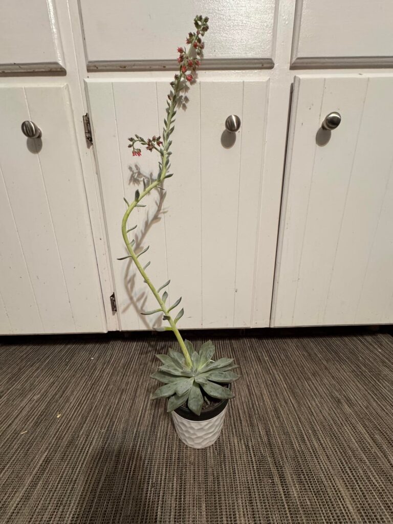 I have no idea what I’m doing I have no idea what I’m doing