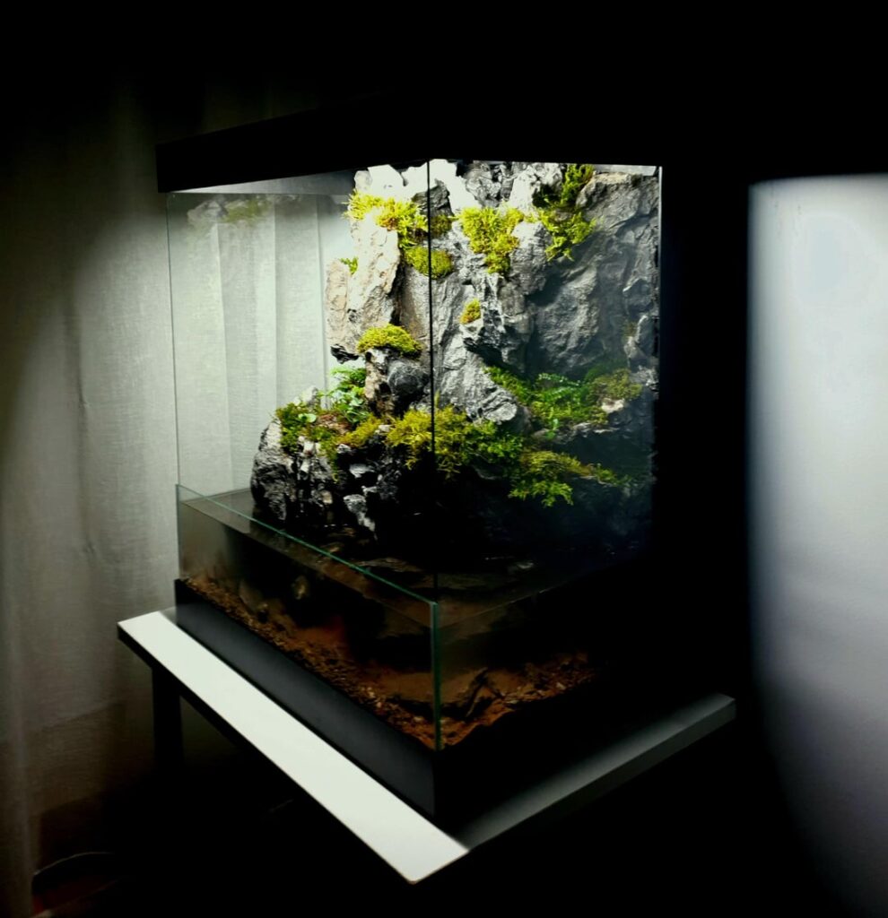 Mountain with caves and lots of mosses