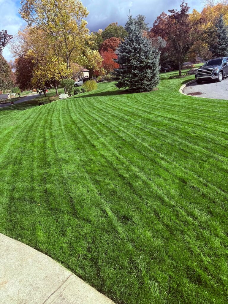 Finished for the year! What do you think?