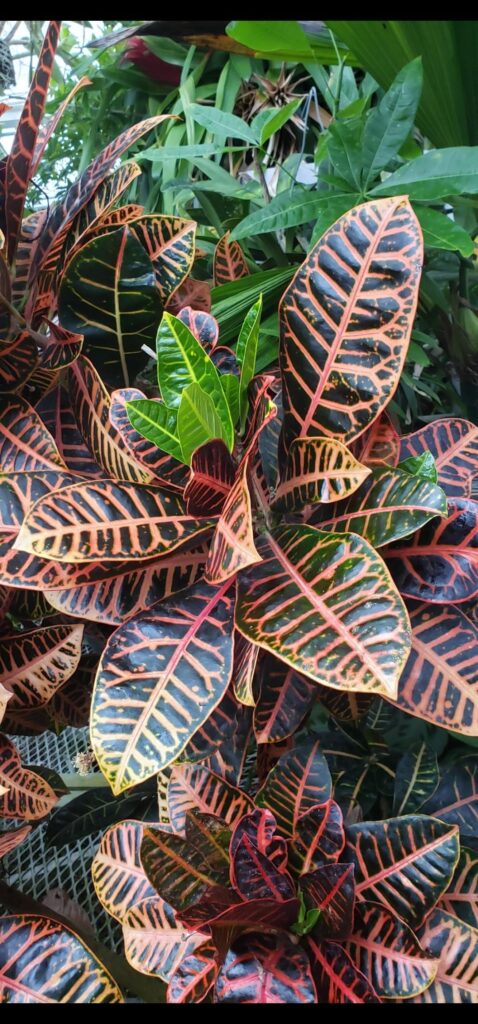 Please identify this.