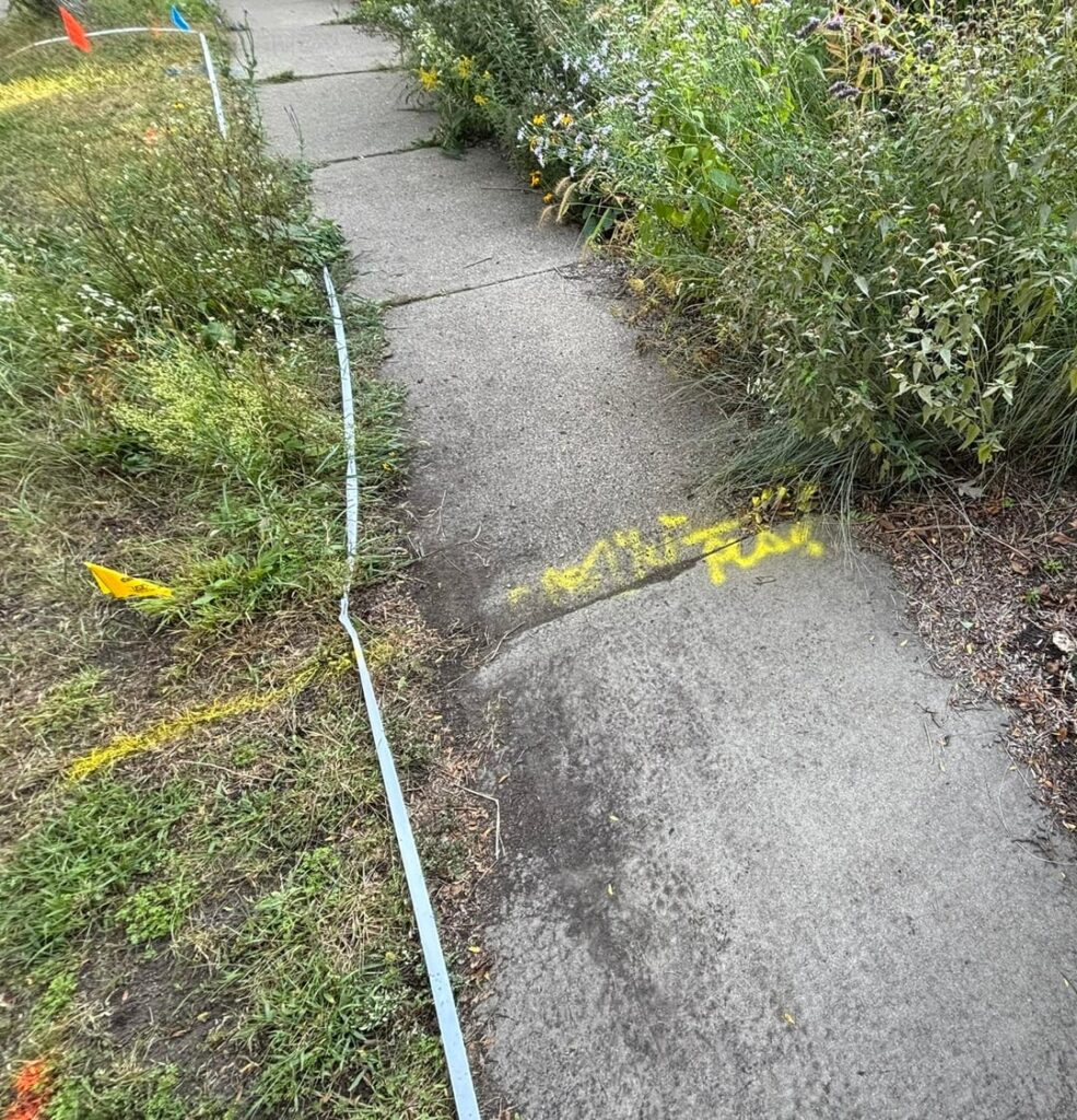 I finished my boulevard planting! (follow up) I finished my boulevard planting! (follow up)
