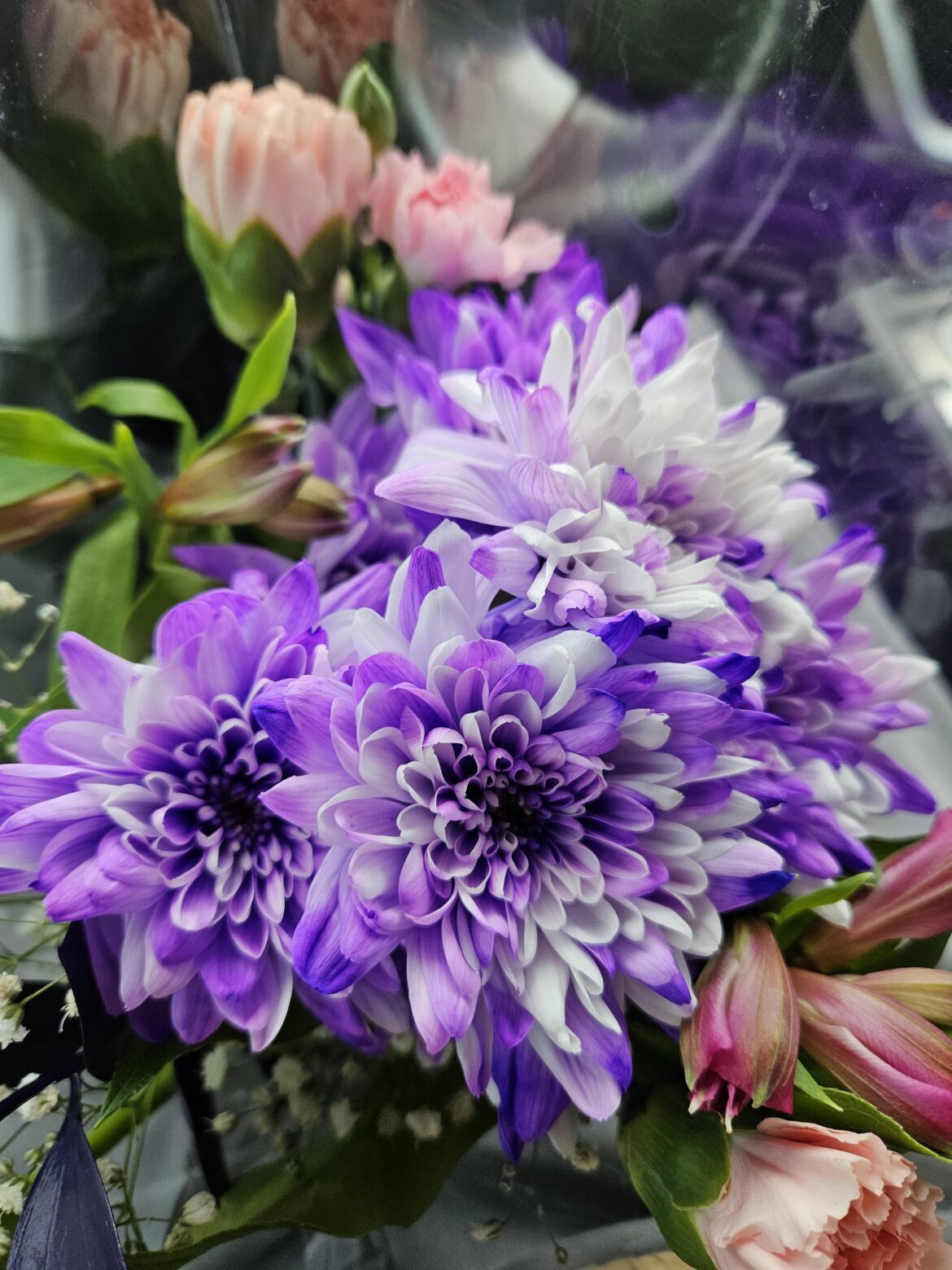 What flowers are these? What flowers are these?