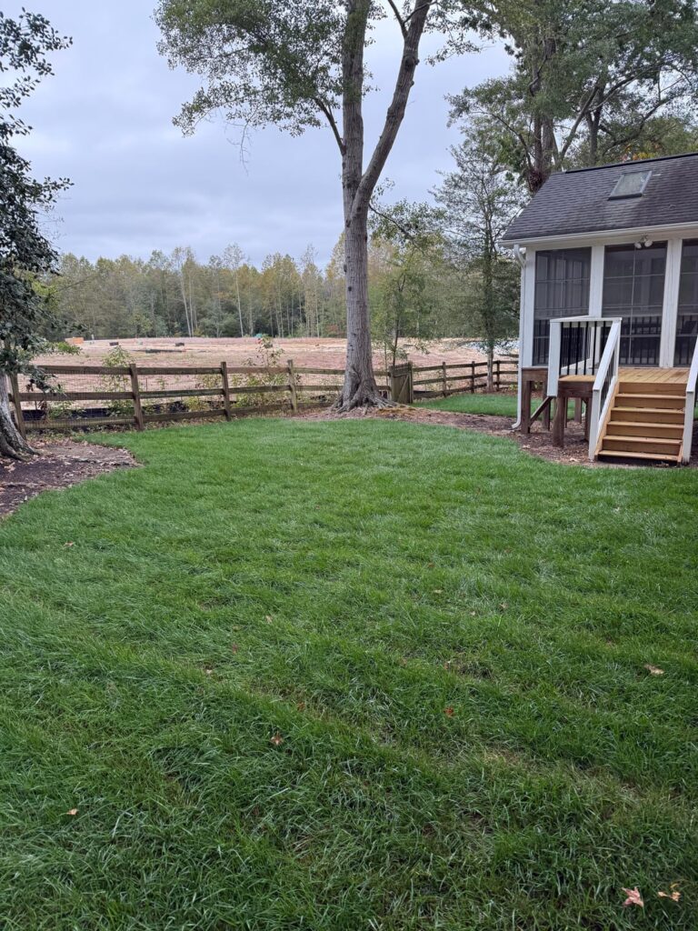 New sod – rooting? New sod - rooting?