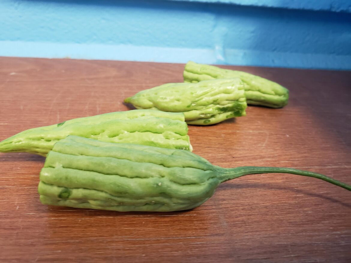 My Kindies found this vegetable, what is it?