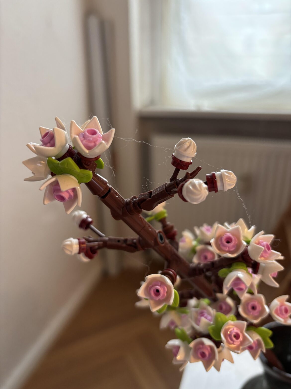 I’m freaking out… is it spider mites??? 😖