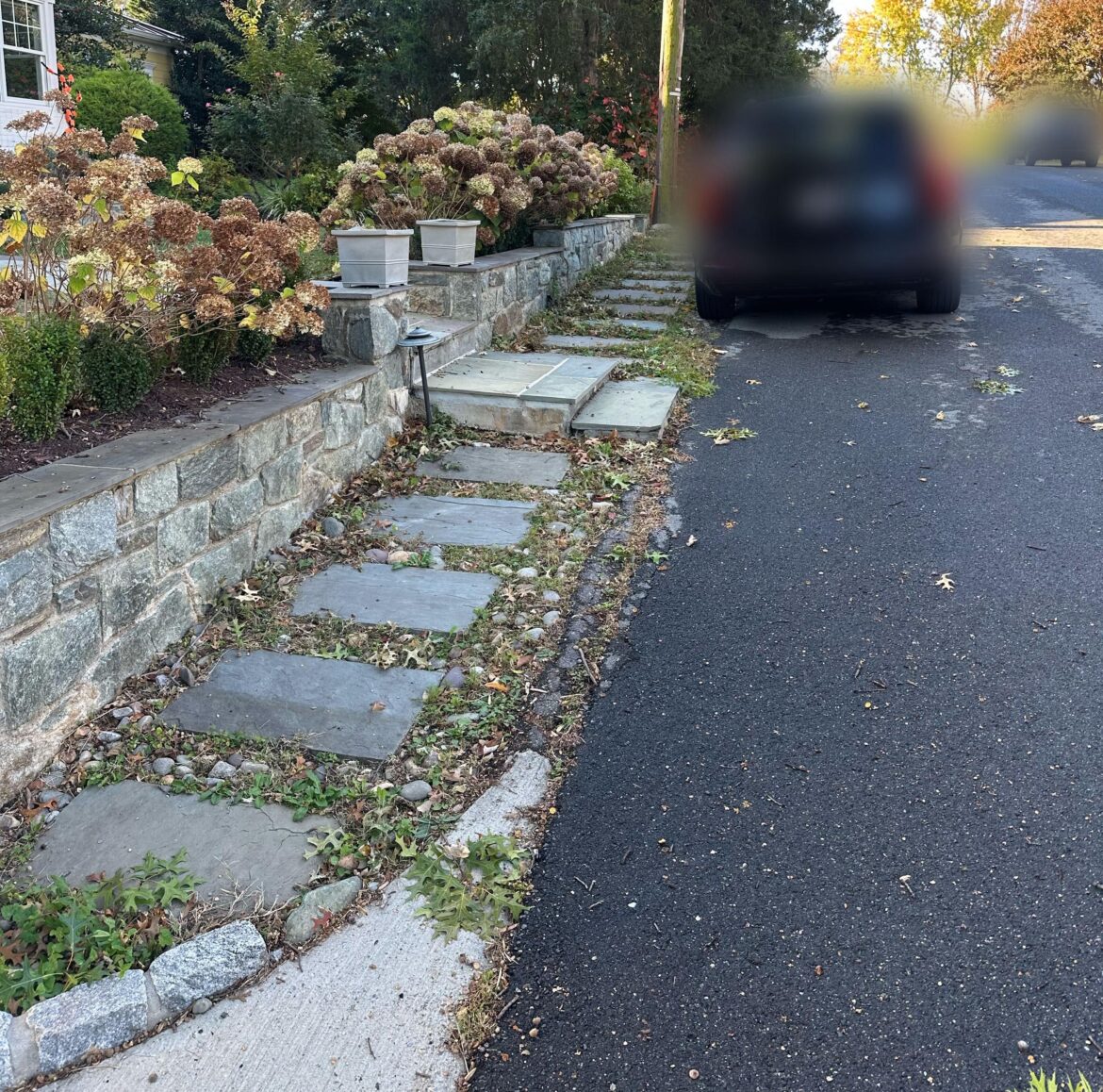 Low-maintenance ideas for area between street and front yard Low-maintenance ideas for area between street and front yard