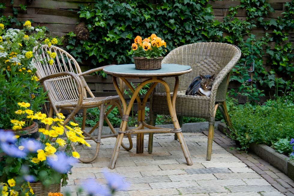 Garden Patio with Wicker Furniture and Housecat cat in wicker chair on garden patio