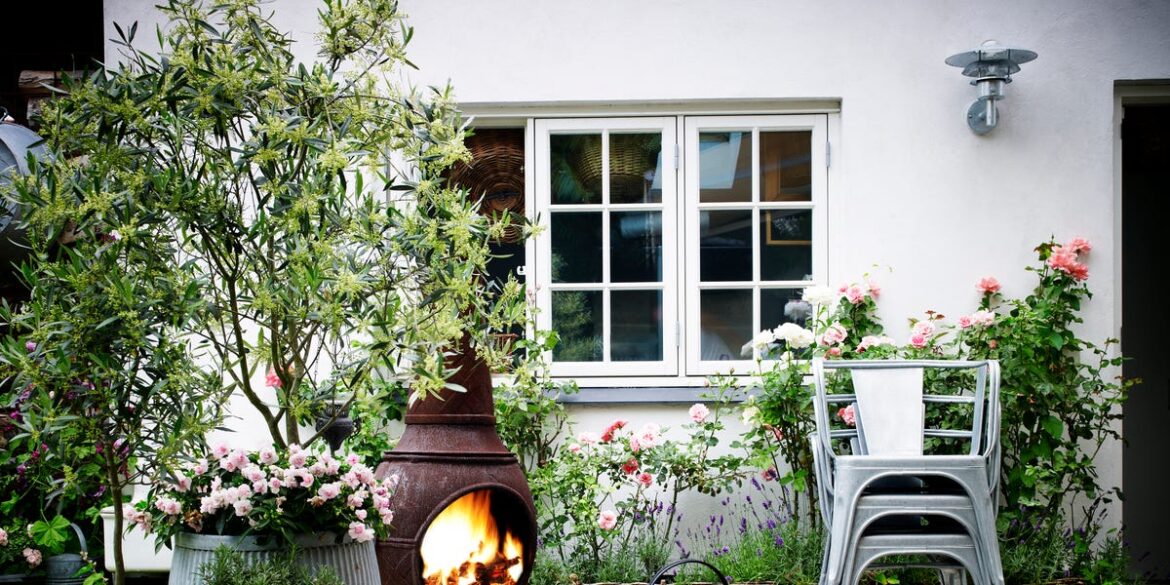 A Paving Boom Threatens The UK's Lawns — And Its Wildlife