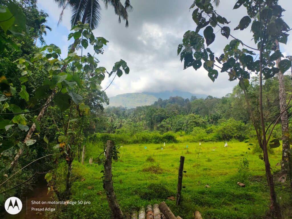 Can you rate this view from my home in a remote village in Karnataka?