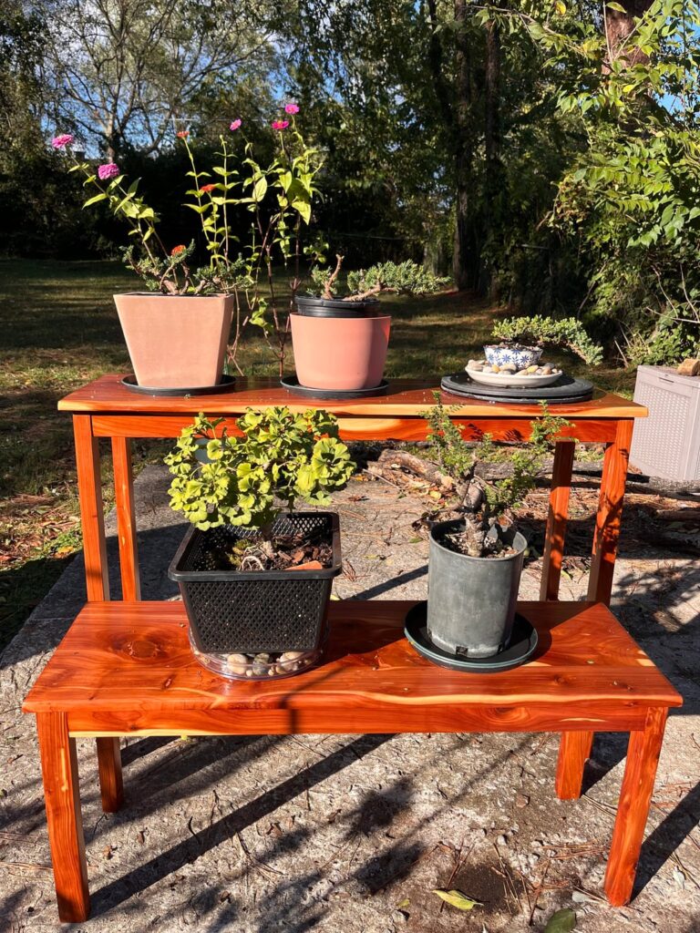 My dad built me my first Bonsai bench! ❤️ My dad built me my first Bonsai bench! ❤️