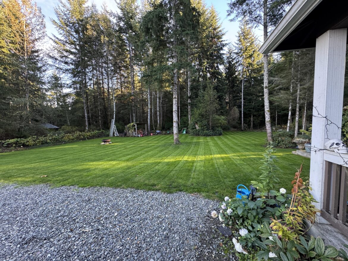 Sure wish it could stay like this all winter