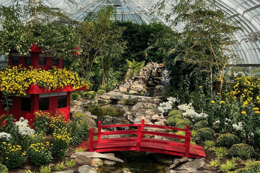 Phipps Visions Of Japan Torii Gate