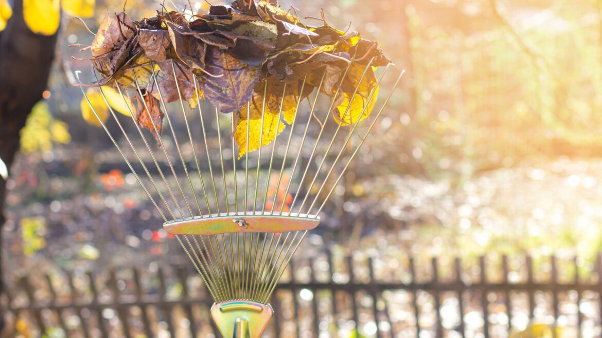 I’m a gardening expert – here’s the top jobs for October and the 3P rule you must follow I’m a gardening expert - here’s the top jobs for October and the 3P rule you must follow