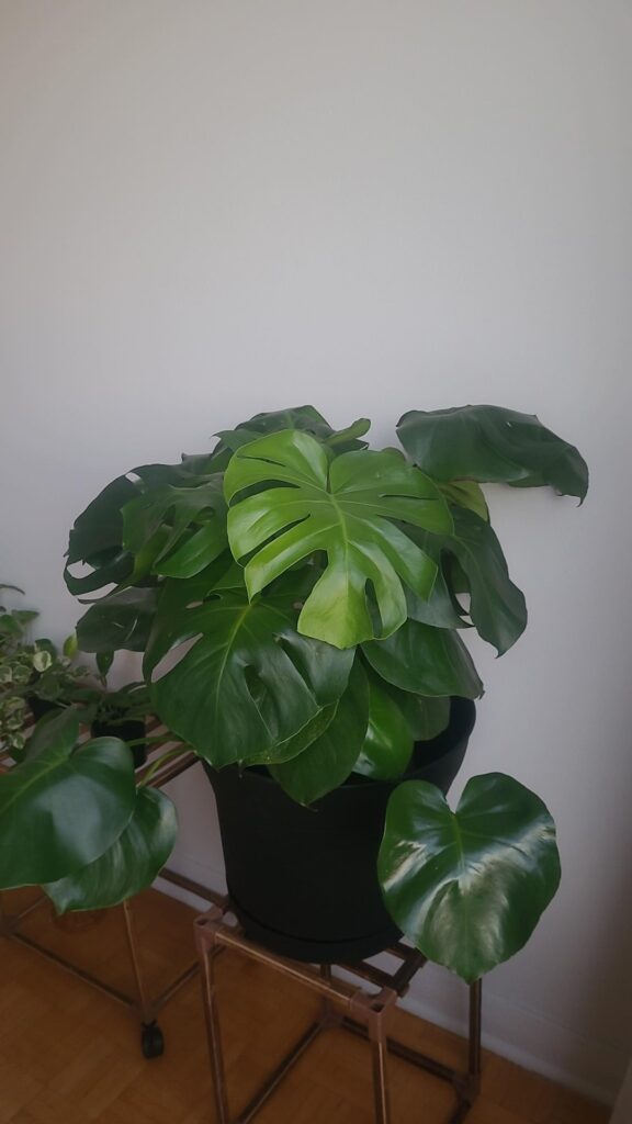 Too crowded? Too crowded?