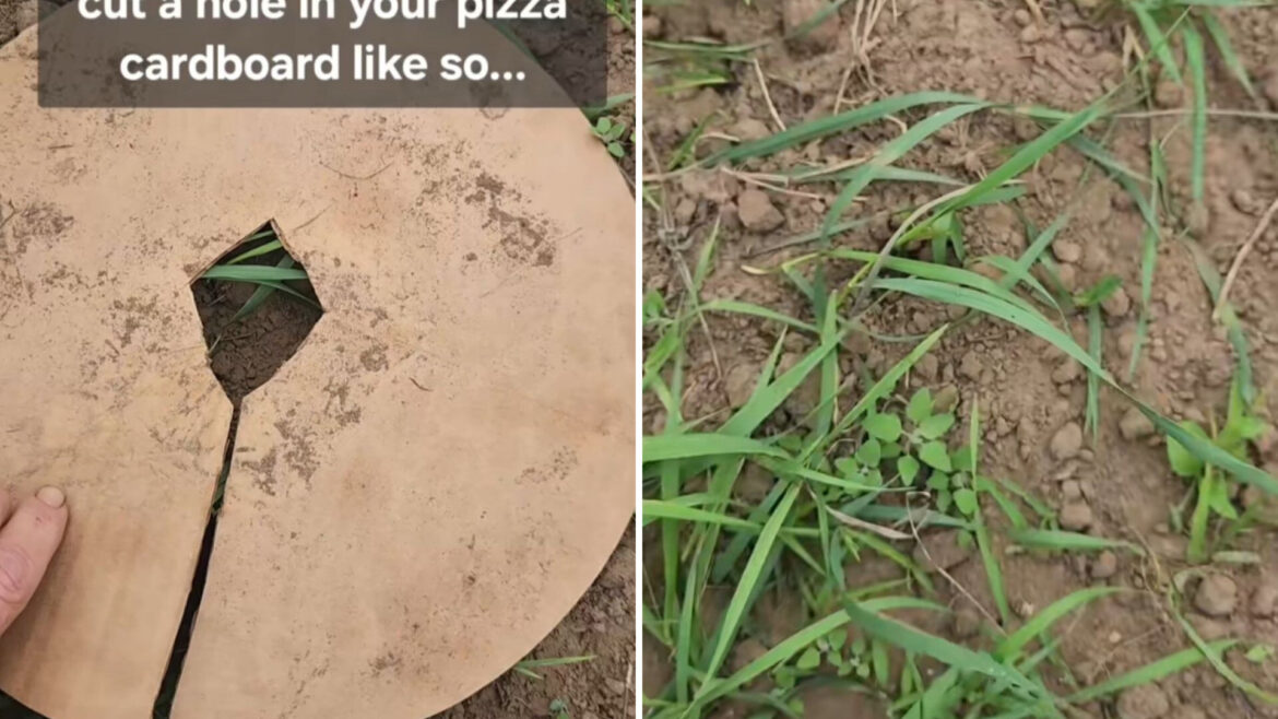 "Thanks for the tip!"