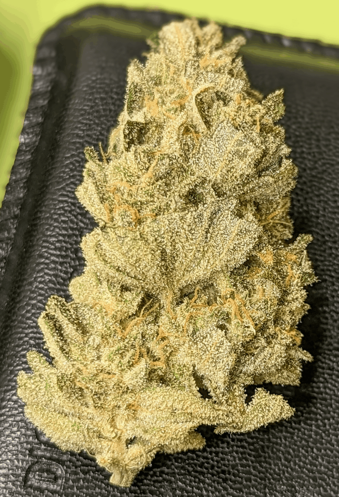 Blueberry OG 🫐