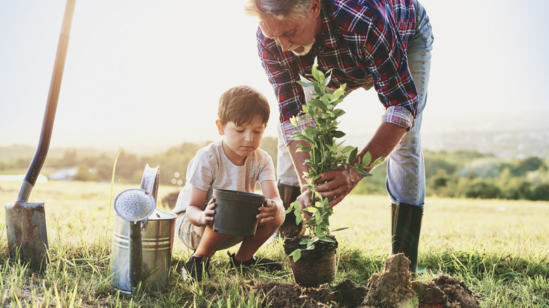 And older man and young boy planting a tree in the yard