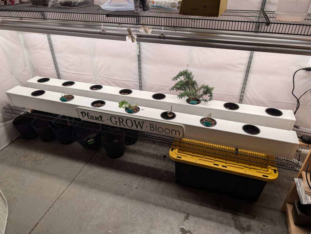 New Hydroponic Setup New Hydroponic Setup