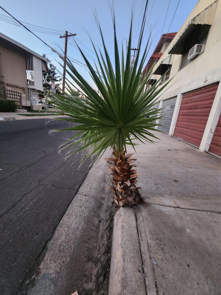 Life... Finds a Way