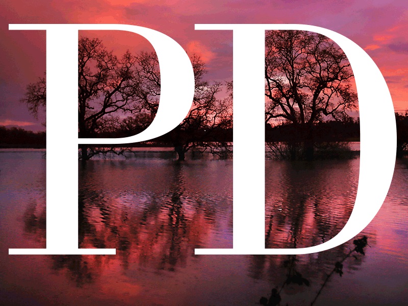 Gardens Aglow for the holiday season at Sonoma Botanical Gardens – The Press Democrat Gardens Aglow for the holiday season at Sonoma Botanical Gardens – The Press Democrat