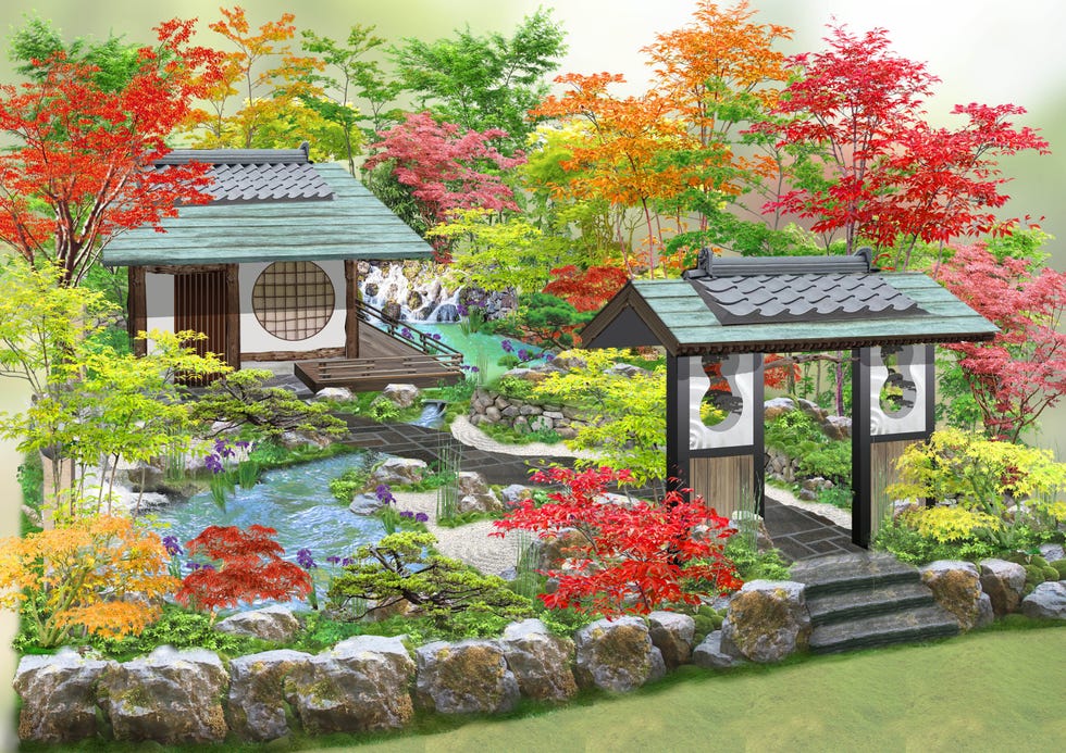 illustration of a chelsea flower show garden