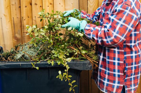 Putting garden waste into bins Putting garden waste into bins