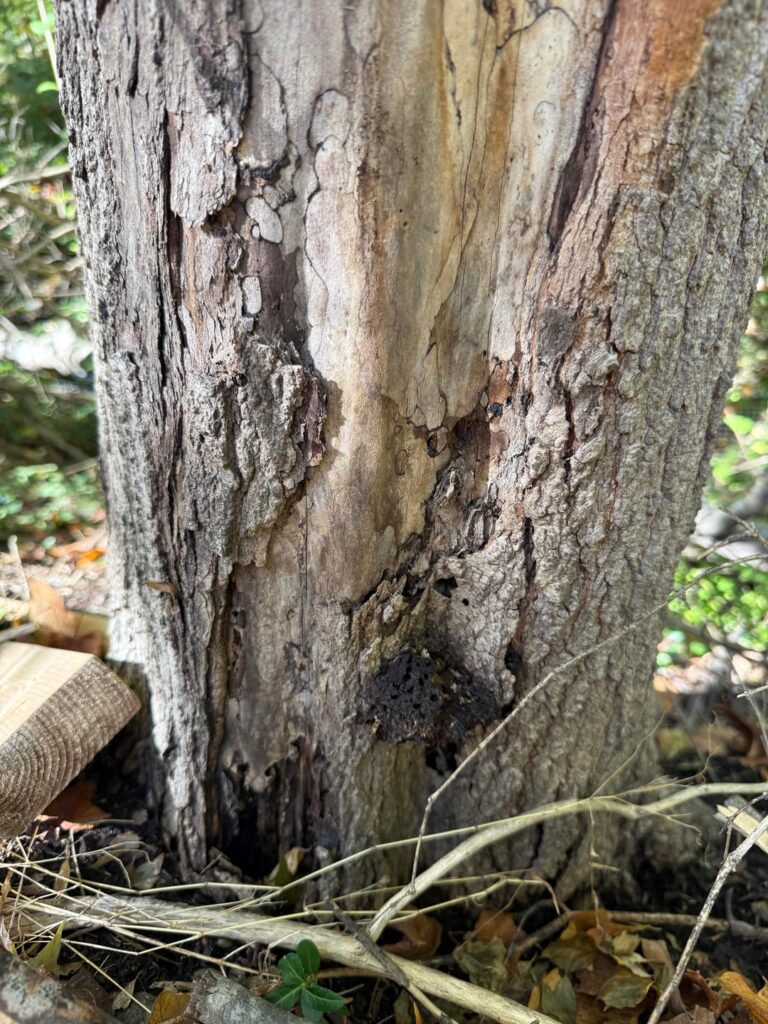 What is happening? What is happening?