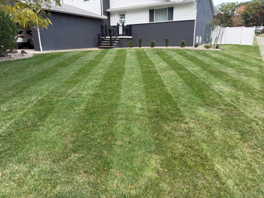 Gotta have the best lawn in the neighborhood