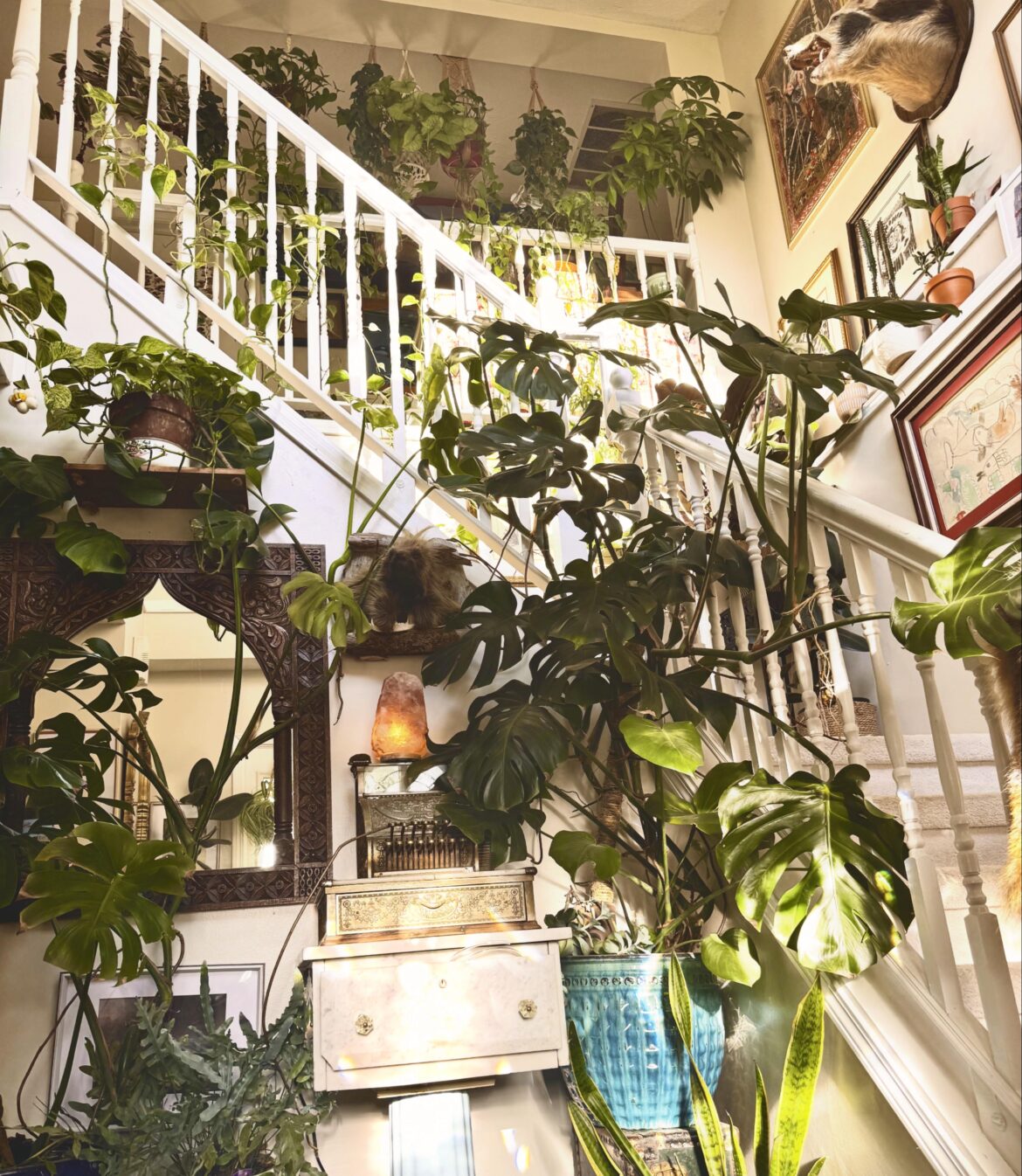 I bought a filthy, roach infested hoarder house and after months of cleaning and a few years of repairs and repaints, turned this mid-90’s pseudo-opulent McMansion into a living, breathing expression of my (out of control) personality. I bought a filthy, roach infested hoarder house and after months of cleaning and a few years of repairs and repaints, turned this mid-90’s pseudo-opulent McMansion into a living, breathing expression of my (out of control) personality.