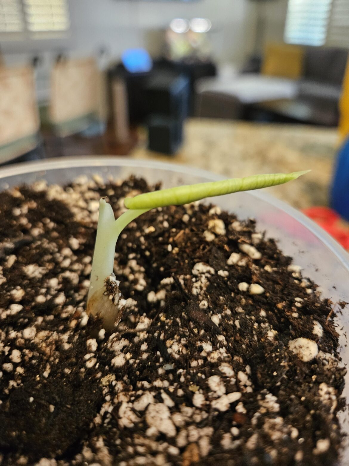 My FIRST propagation