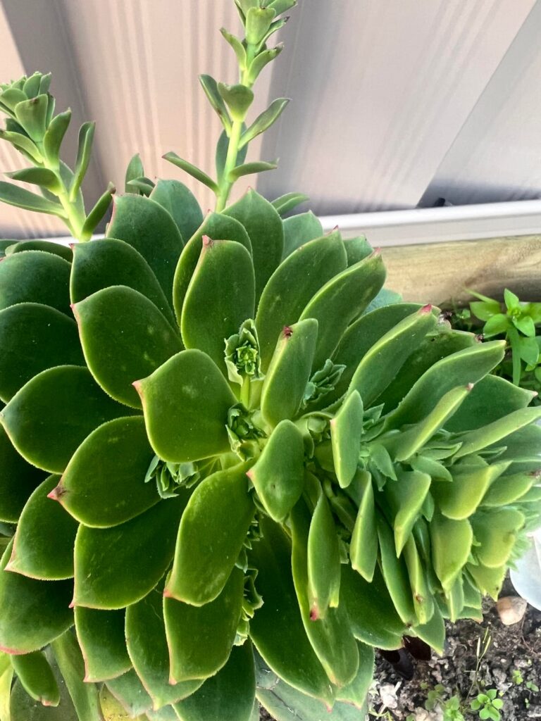 Someone needs to calm tf down!