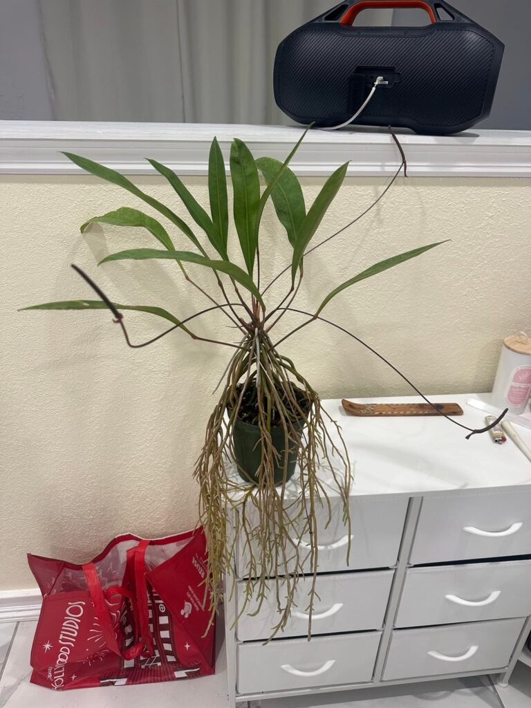 What the heck is this What the heck is this