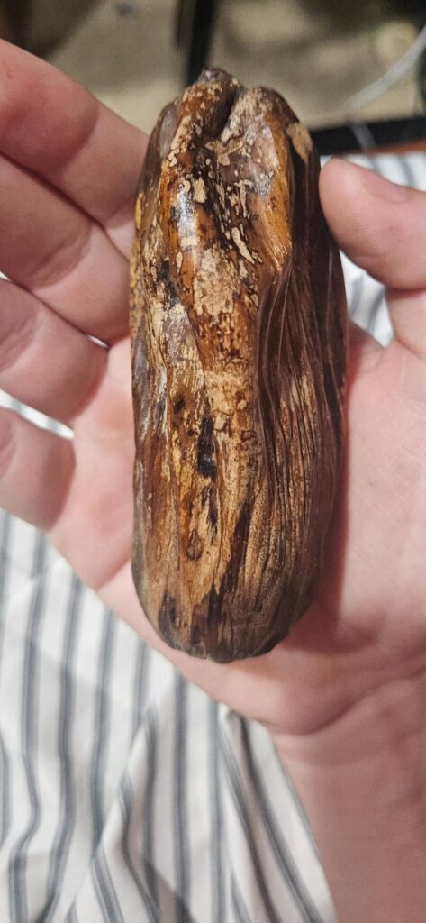 Anyone have an ID on this seed?