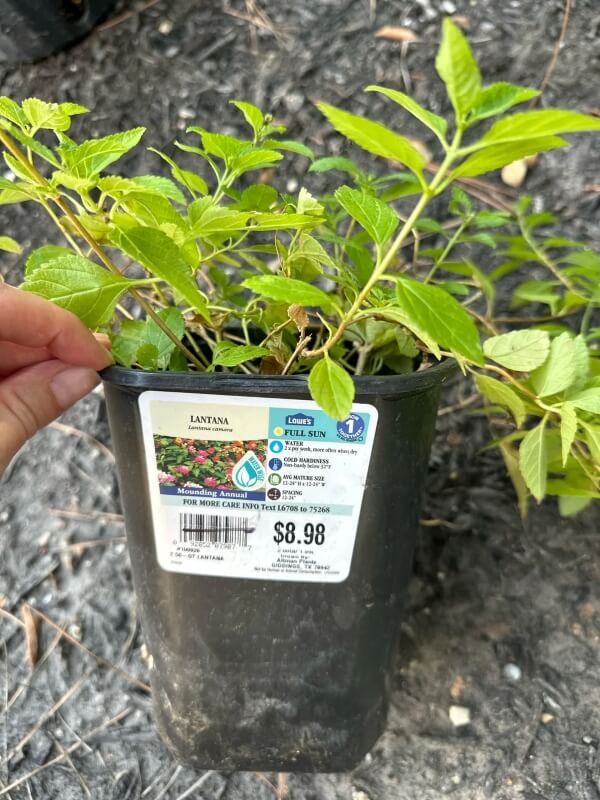 Other Redditors were quick to warn the original poster.