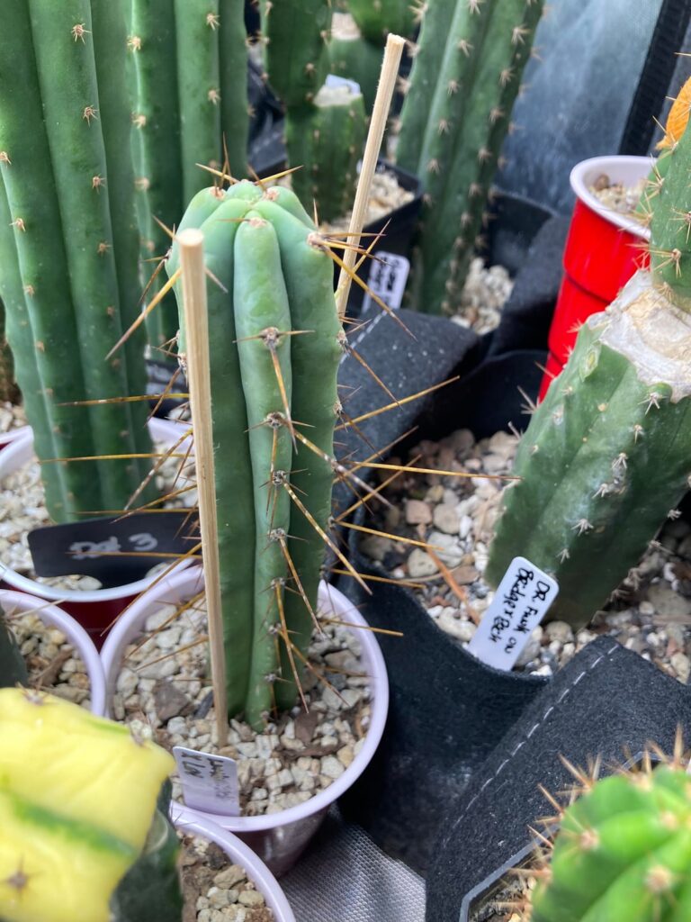 I’m gonna be honest…there’s so much dope shit in my tent it’s stupid.