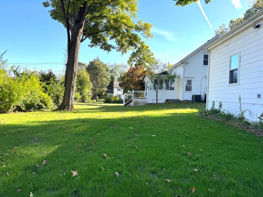 After + Before Lawn Reno (Zone 6B)