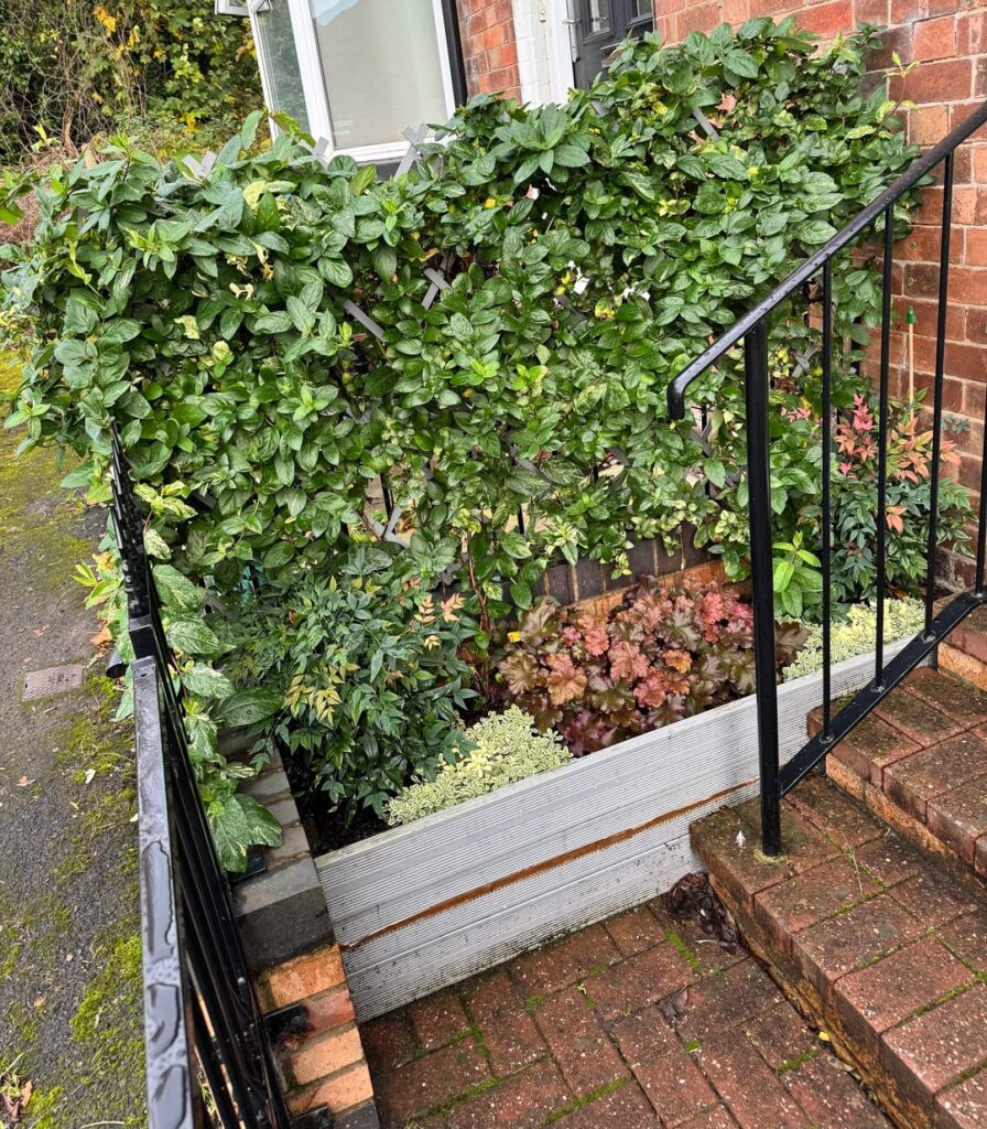 No more stealing of my plant pots! No more stealing of my plant pots!