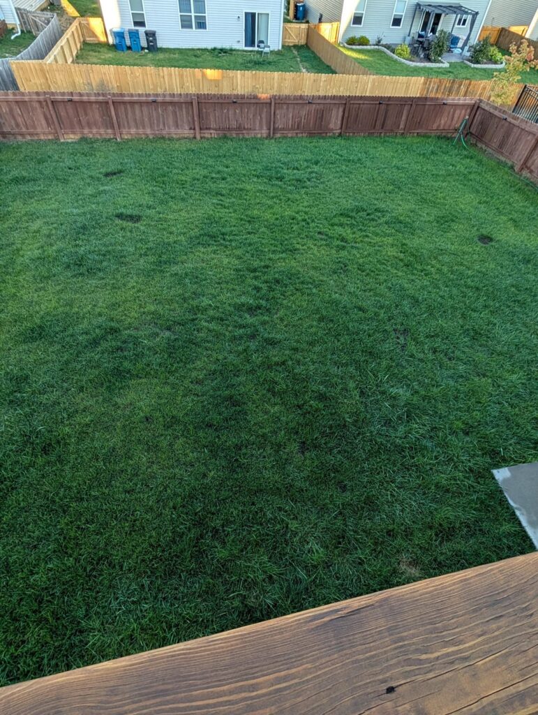 After and before (6b)