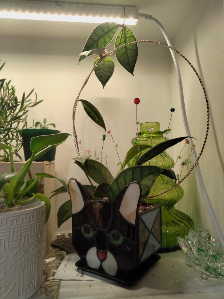 Omg it’s happening 😨 Omg it's happening 😨