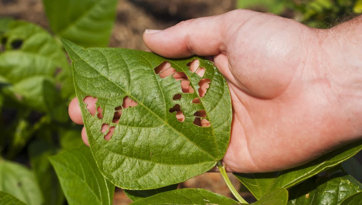 "I didn't know that."