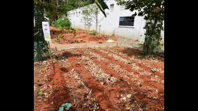 Rains delay start of kitchen gardens in DK schools