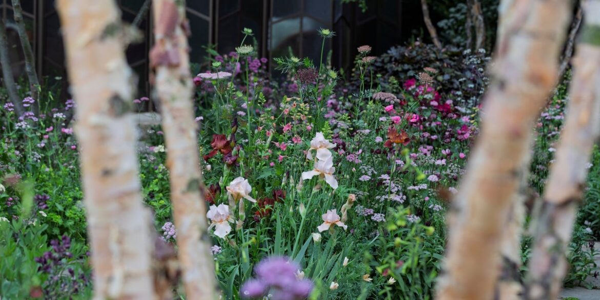 Chelsea Flower Show 2026 Unveils 13 Spectacular Gardens — Including a Designer’s Surprise Return