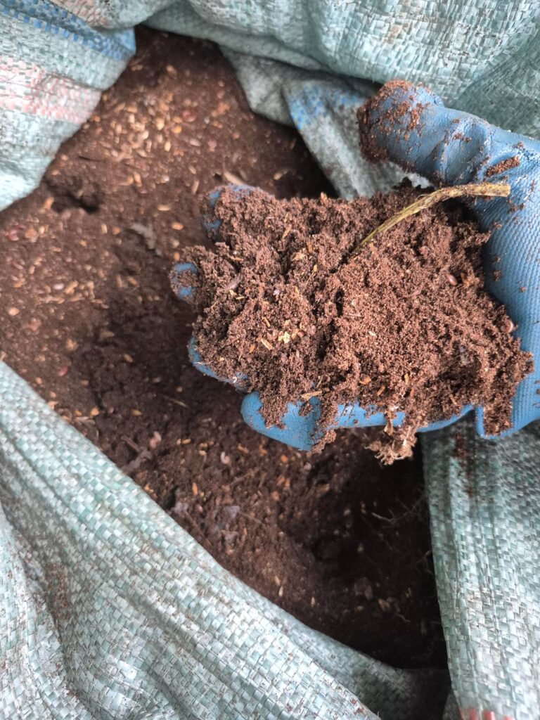 A little experiment: using millipedes to compost wood chips A little experiment: using millipedes to compost wood chips