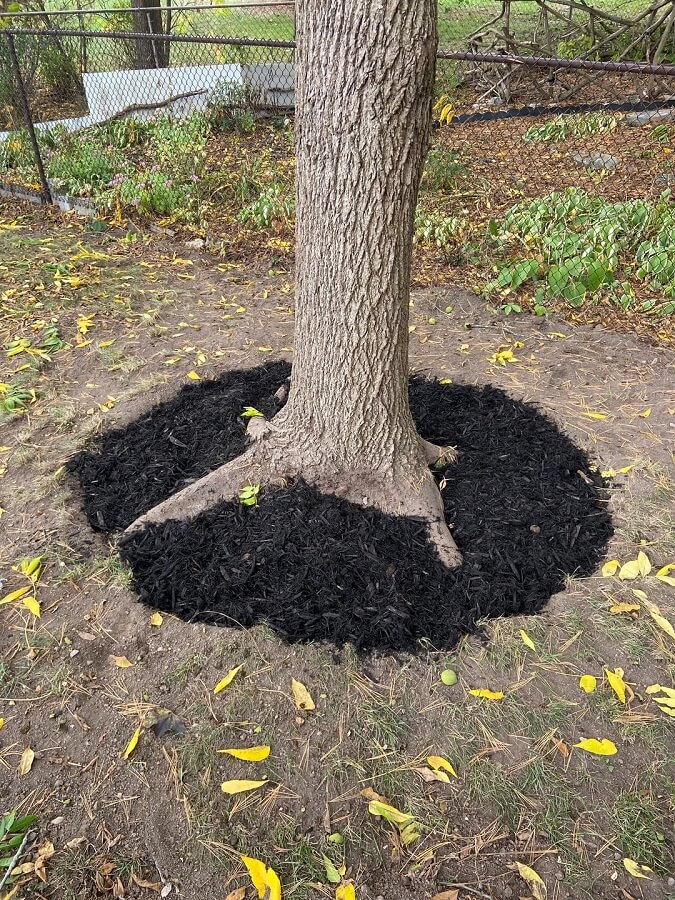 Commenters shared their disapproval.