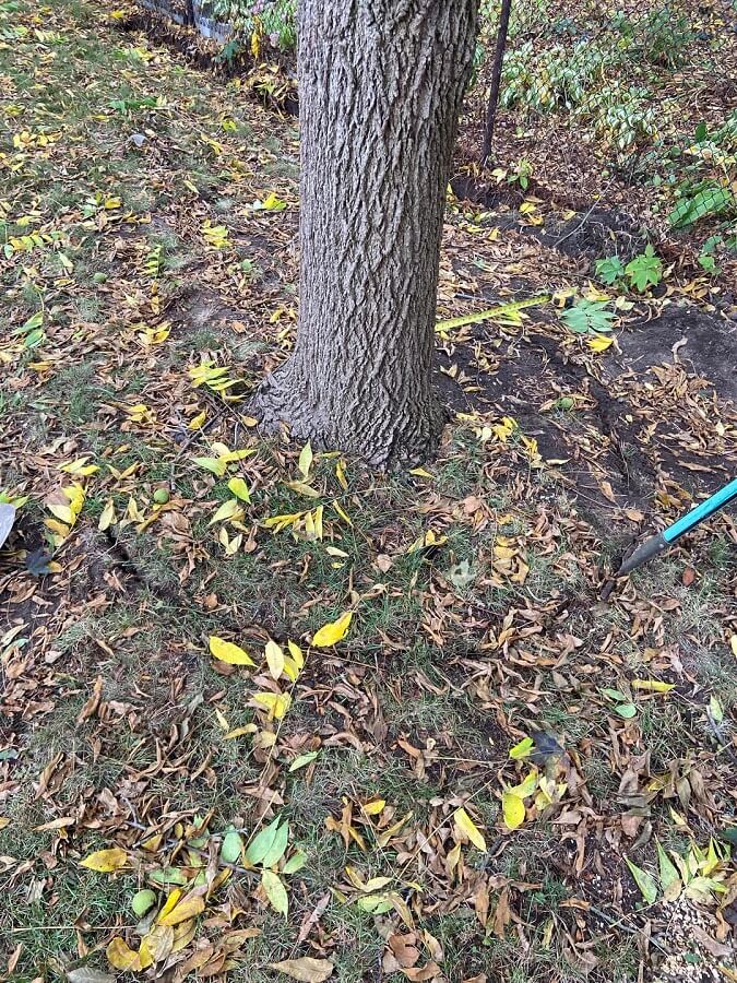 Commenters shared their disapproval.