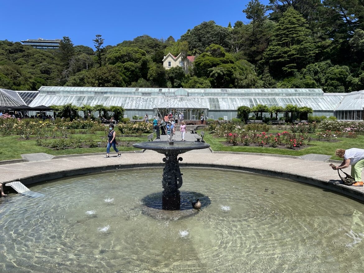 Plants on the move to make way for Begonia House improvements next month - News and information